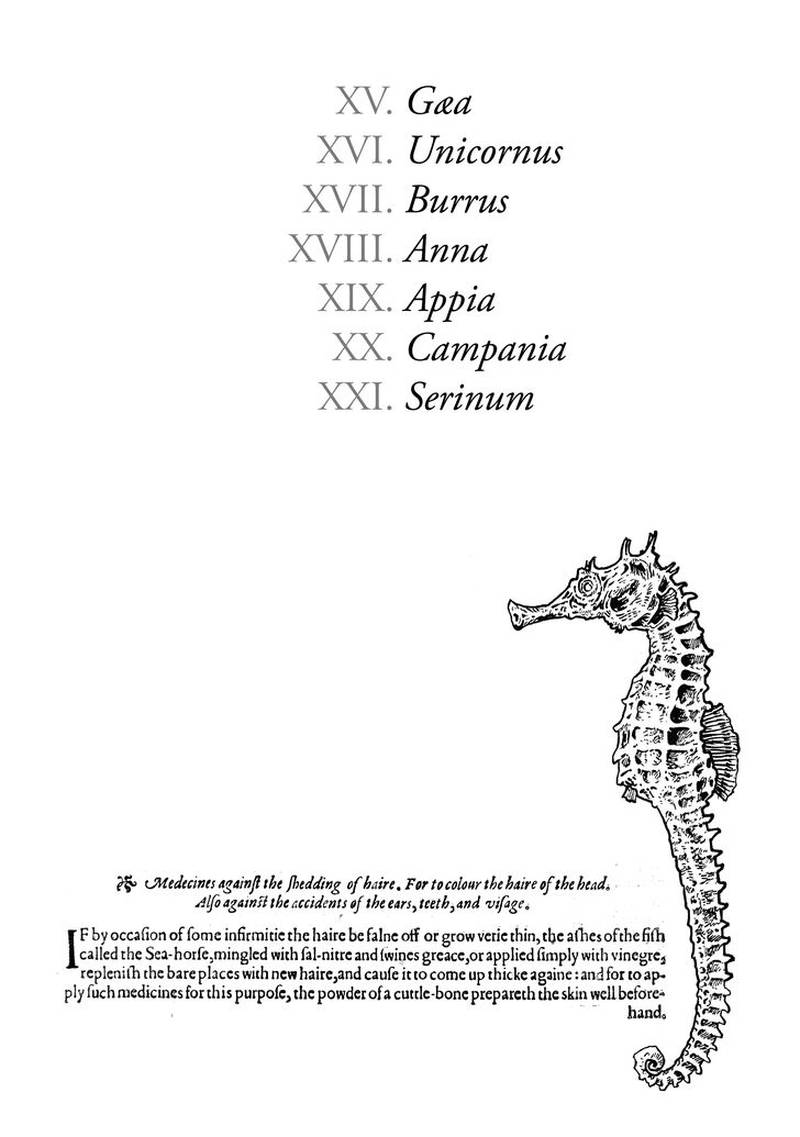 Plinius 15 3