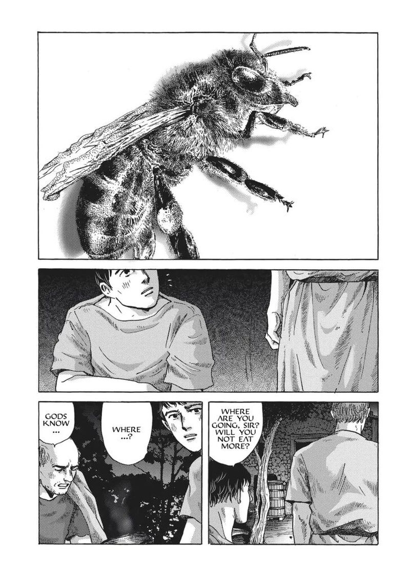 Plinius 3 17