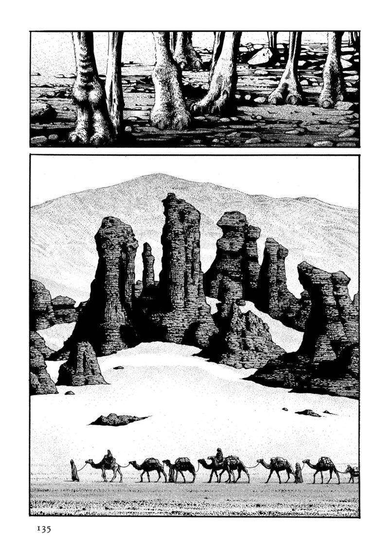 Plinius 41 2