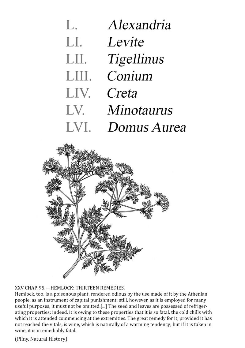 Plinius 50 4