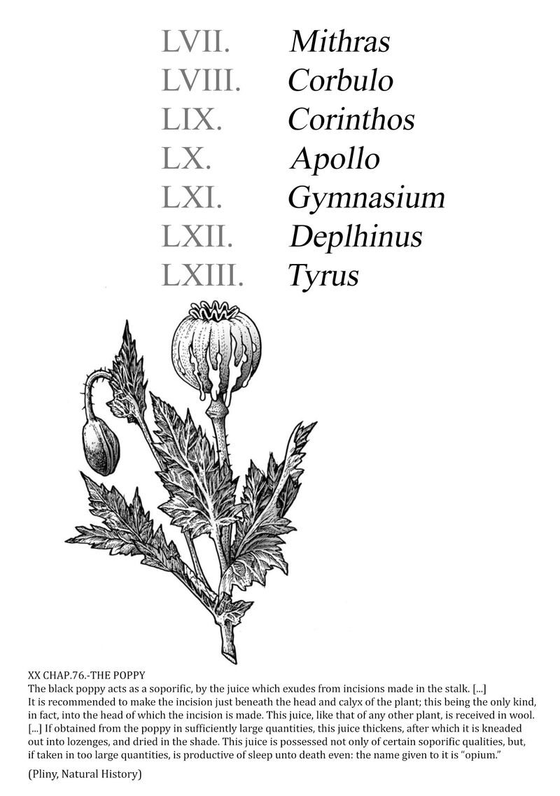 Plinius 57 4