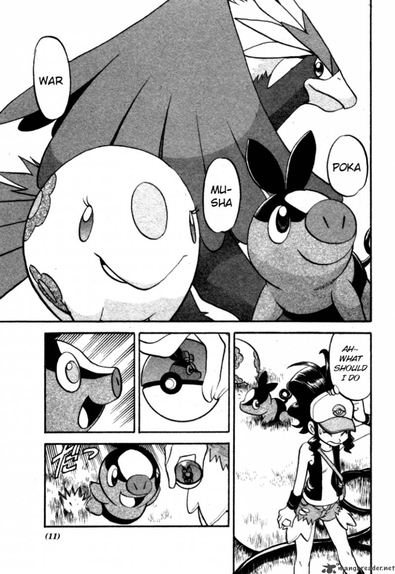 Pokemon Special Black White 1 9