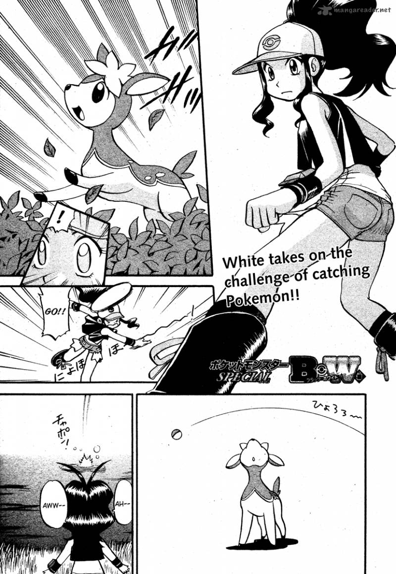 Pokemon Special Black White 14 1