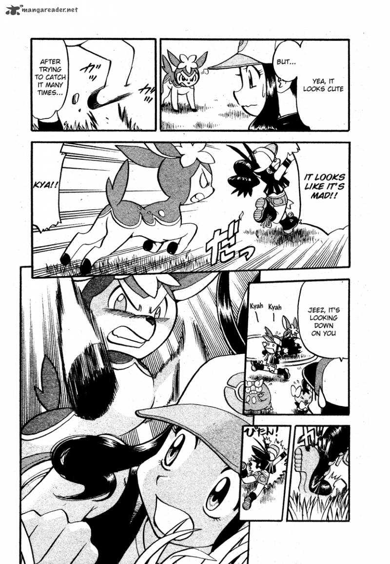 Pokemon Special Black White 14 8