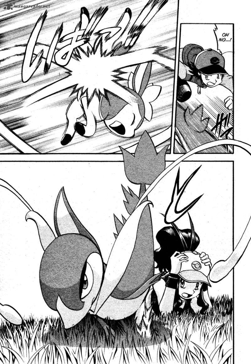Pokemon Special Black White 14 9