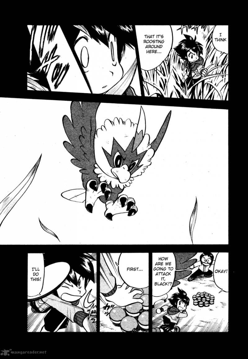 Pokemon Special Black White 16 11