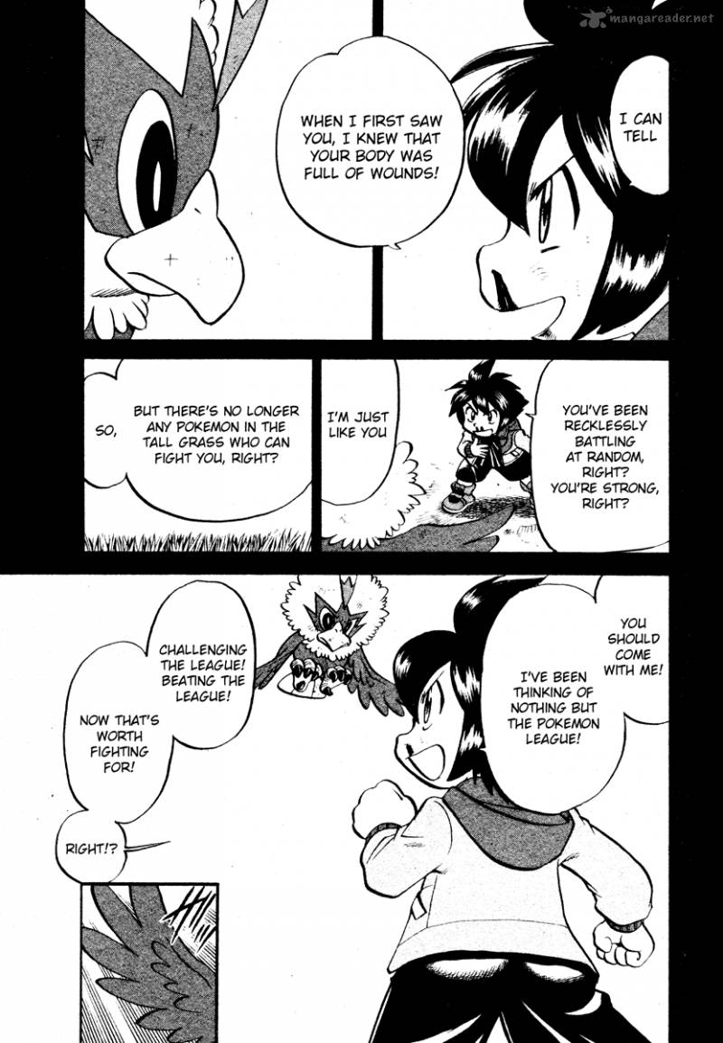 Pokemon Special Black White 16 13