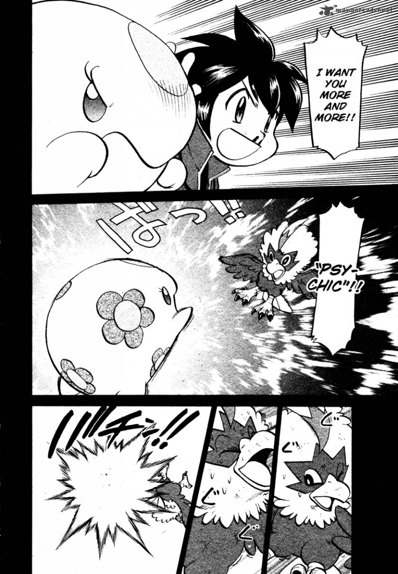 Pokemon Special Black White 16 16