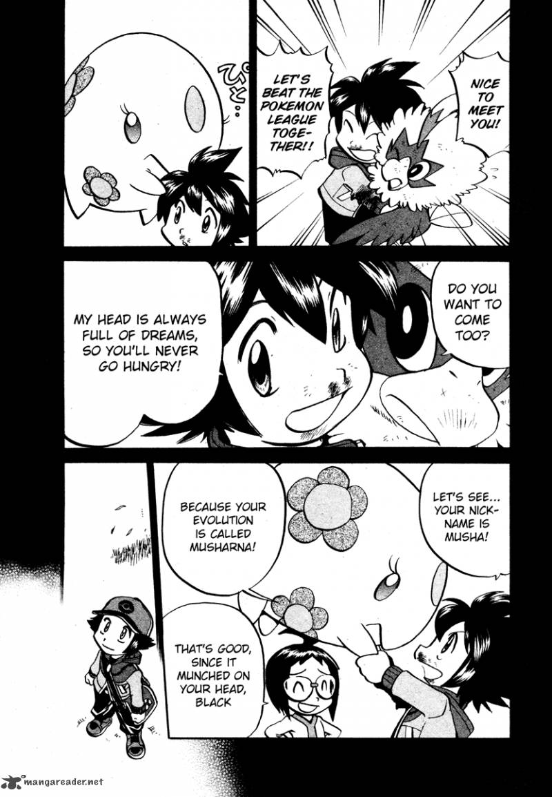 Pokemon Special Black White 16 19