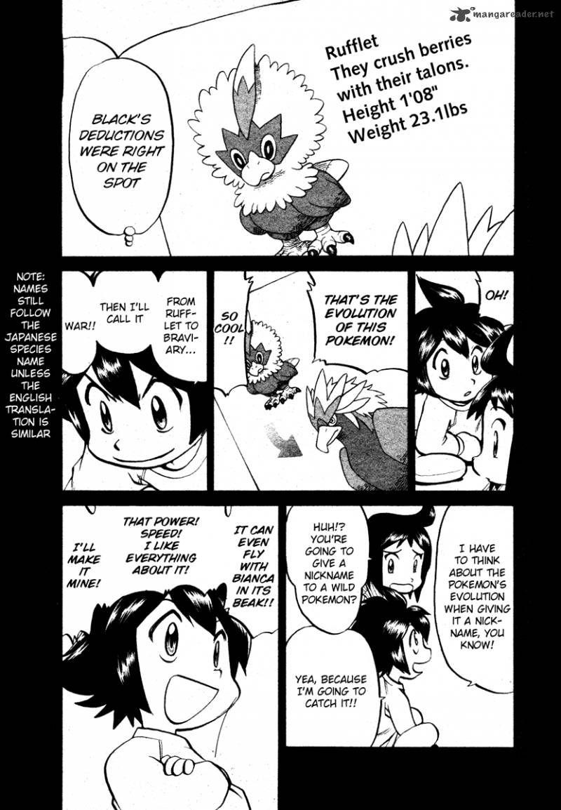 Pokemon Special Black White 16 9
