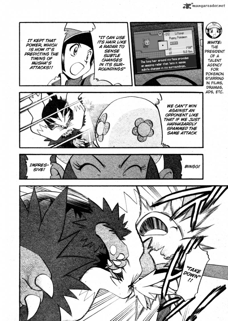 Pokemon Special Black White 7 8