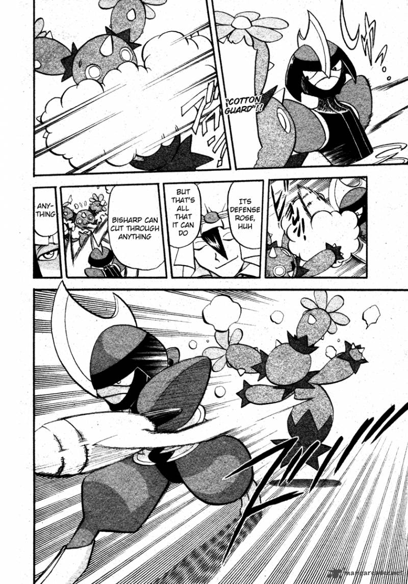 Pokemon Special Black White 8 16