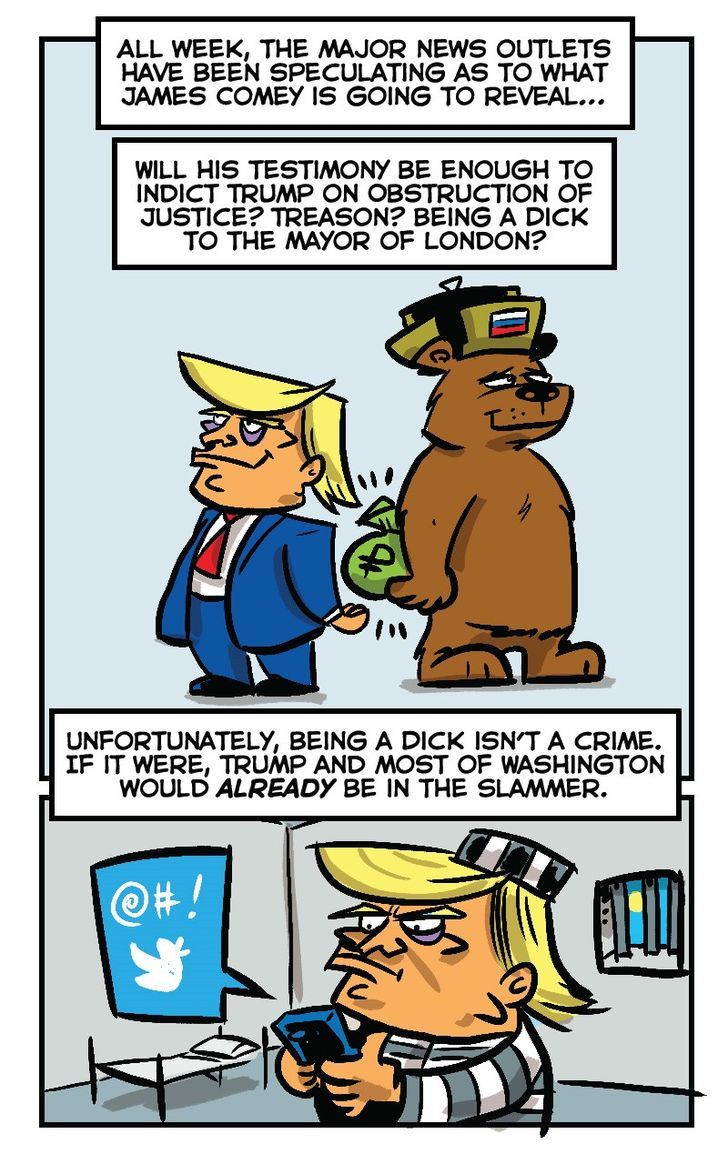 Polidiocy 55 2