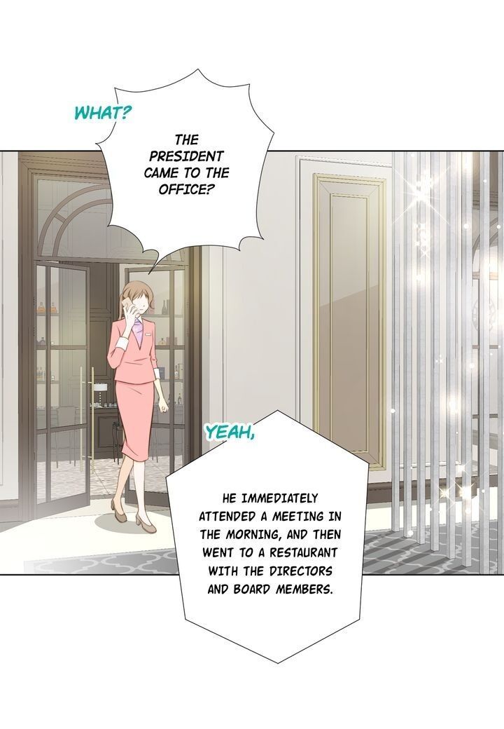 President Long Legs 62 25