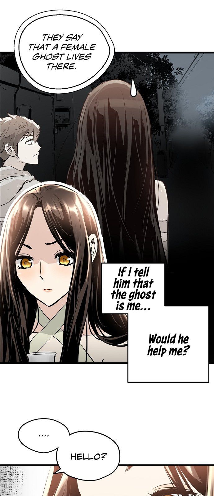 Promised Orchid 10 13