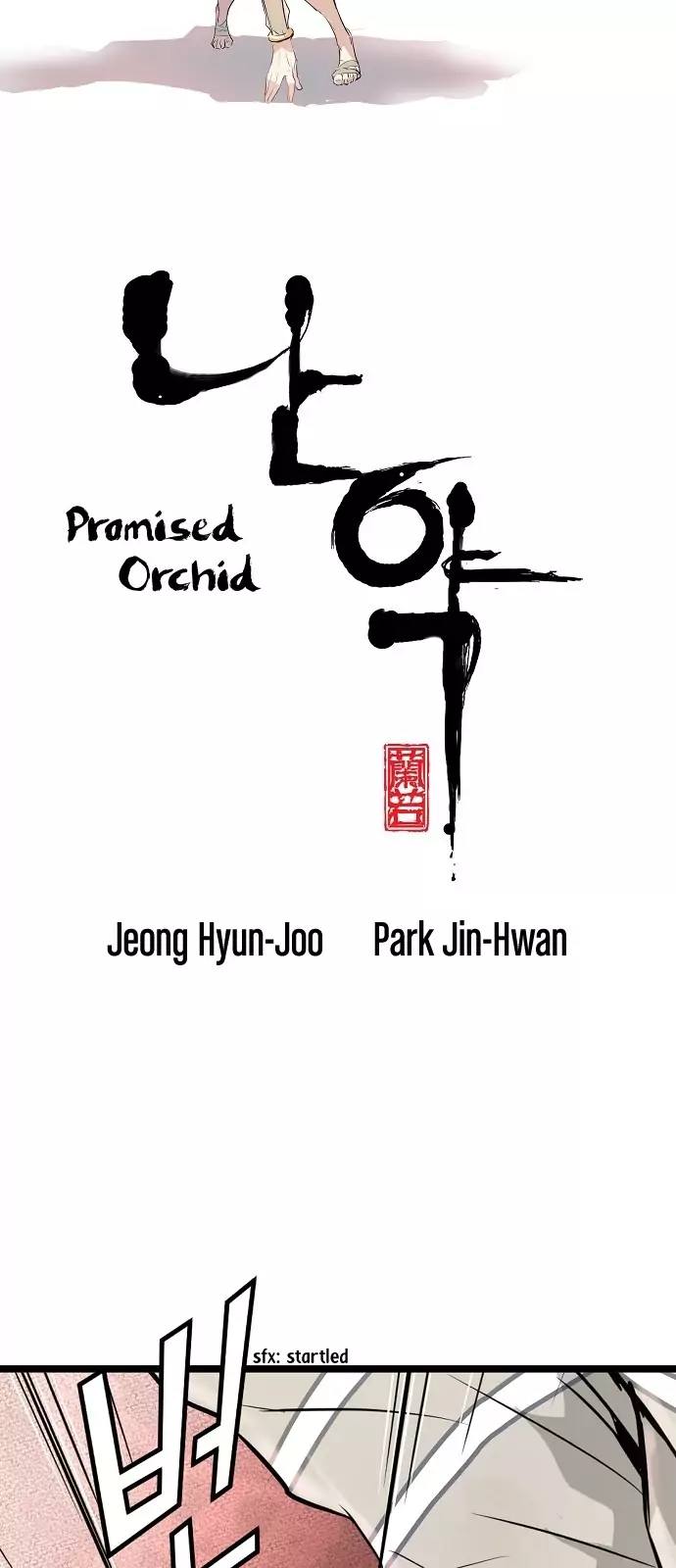 Promised Orchid 6 2