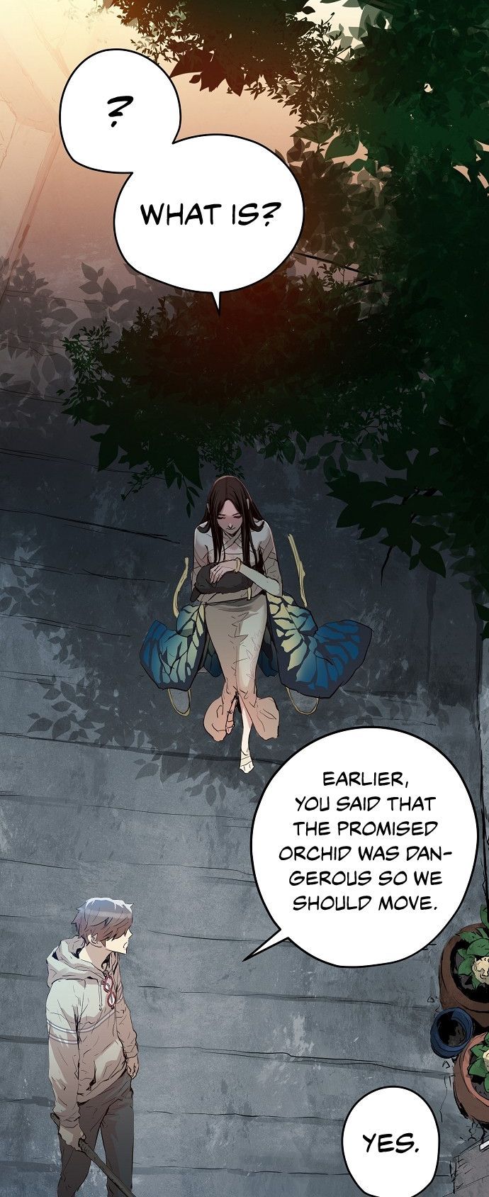 Promised Orchid 7 4