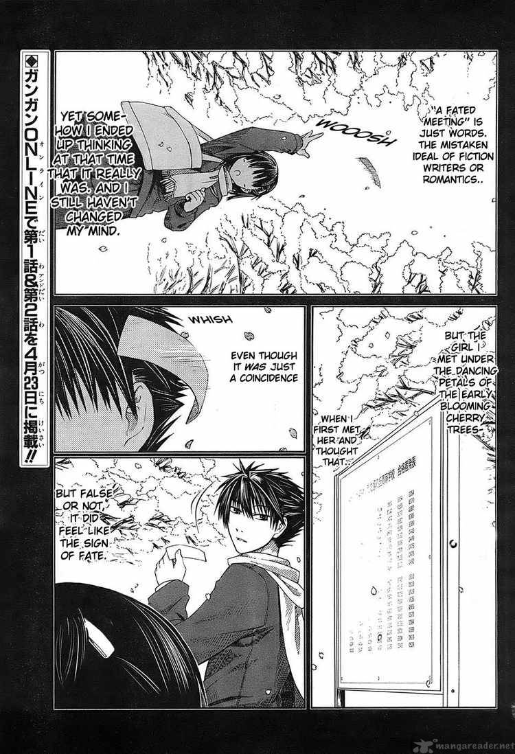 Prunus Girl 3 3