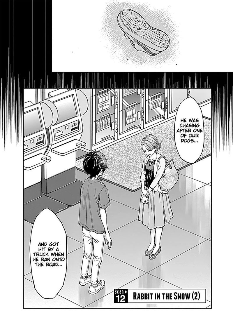 Radiation House 12 3