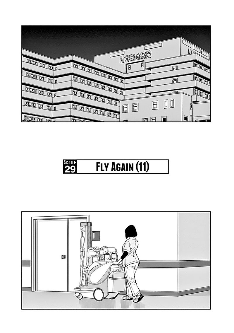 Radiation House 29 1