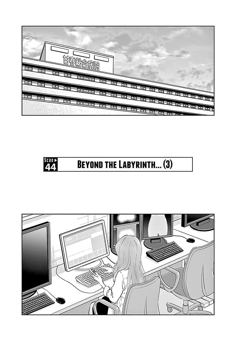 Radiation House 44 1