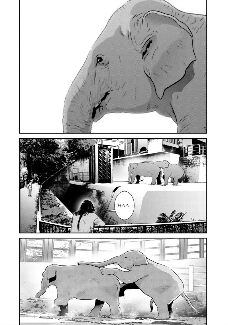 Raw Hero 34 8