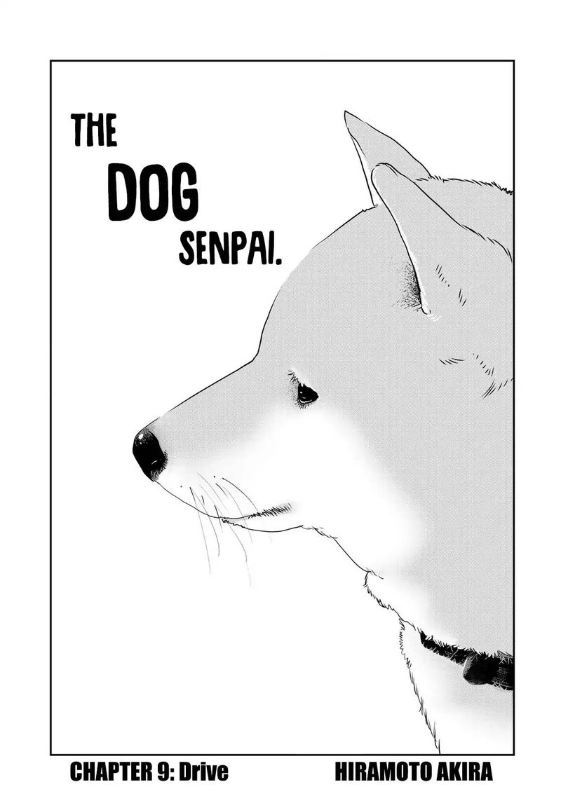 Raw Hero 9 2