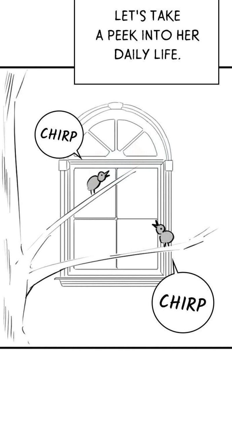 Reality Quest 165f 24