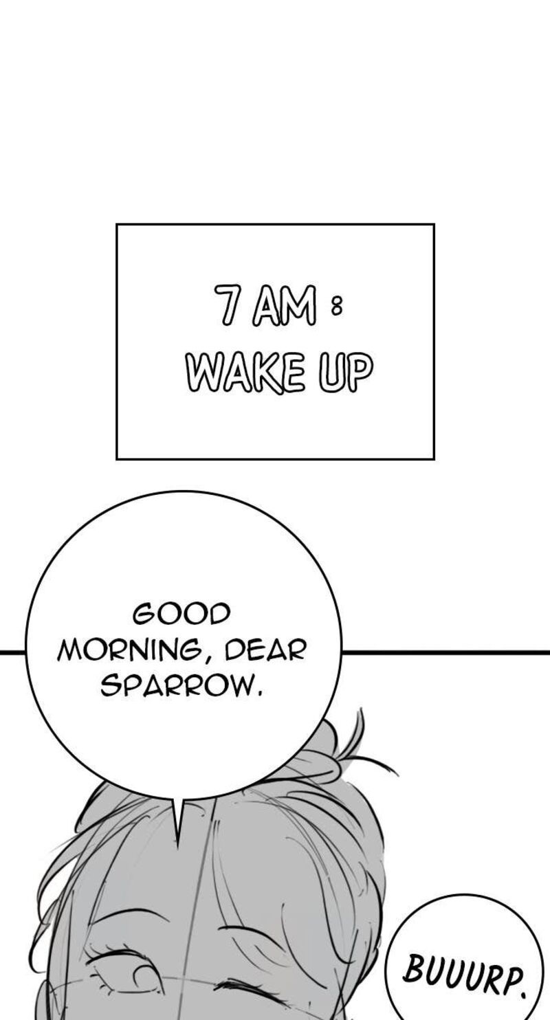 Reality Quest 165f 26