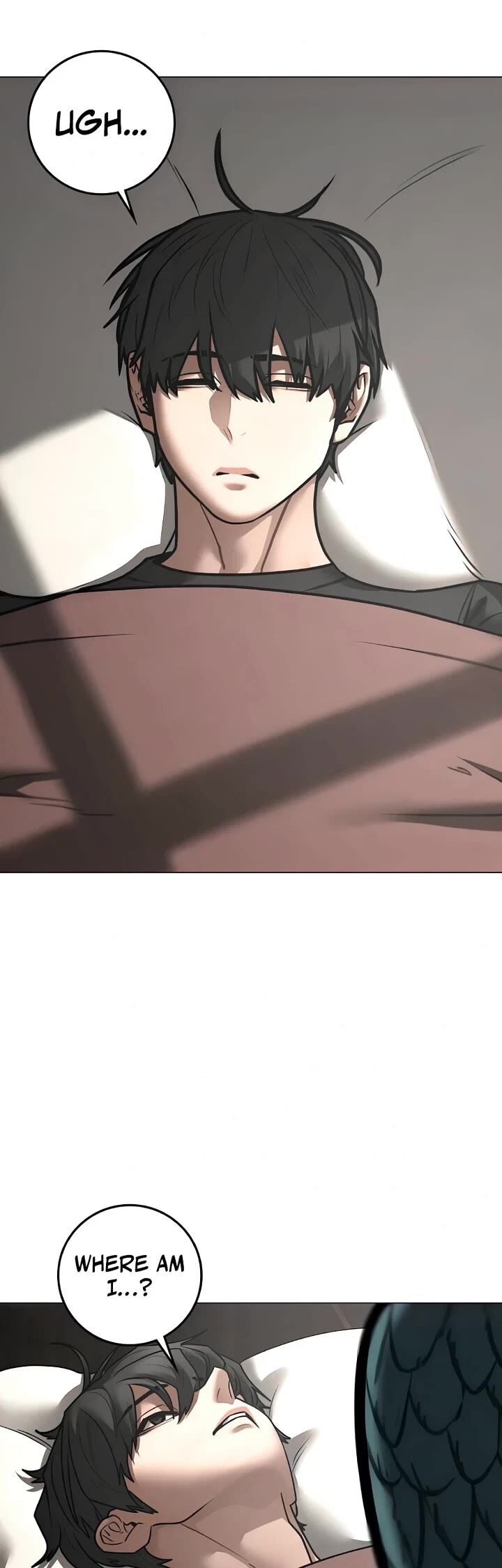 Reality Quest 183 50