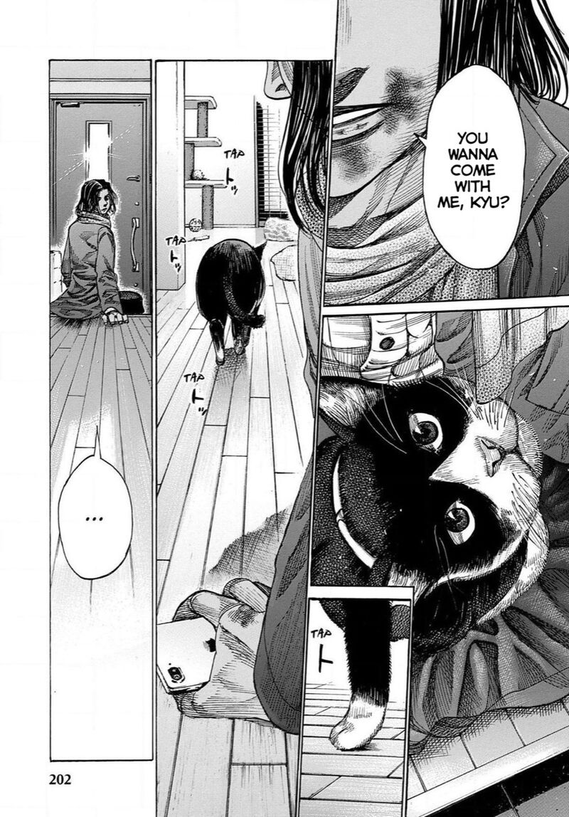 Rikudo 174 16