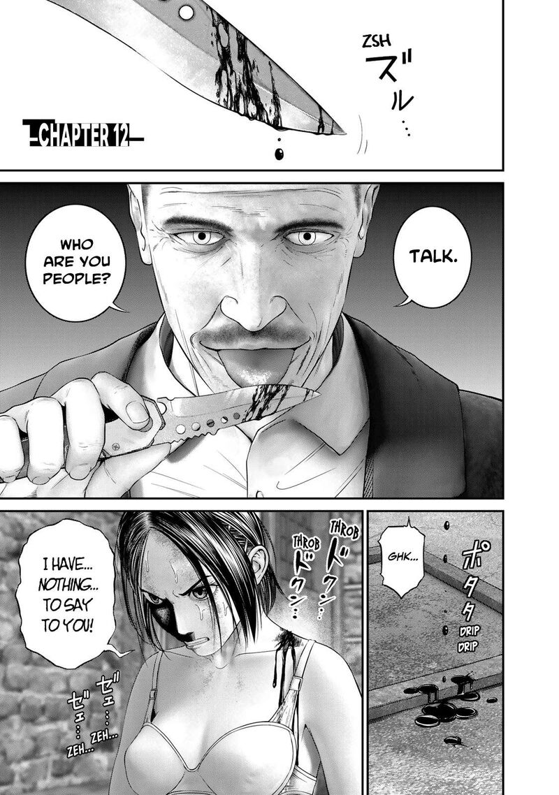 Rikujoujieitai Tokumu Chouhou Kikan 12 1