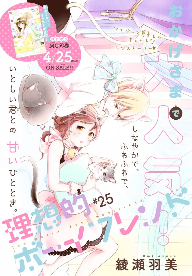Risouteki Boyfriend 25 6