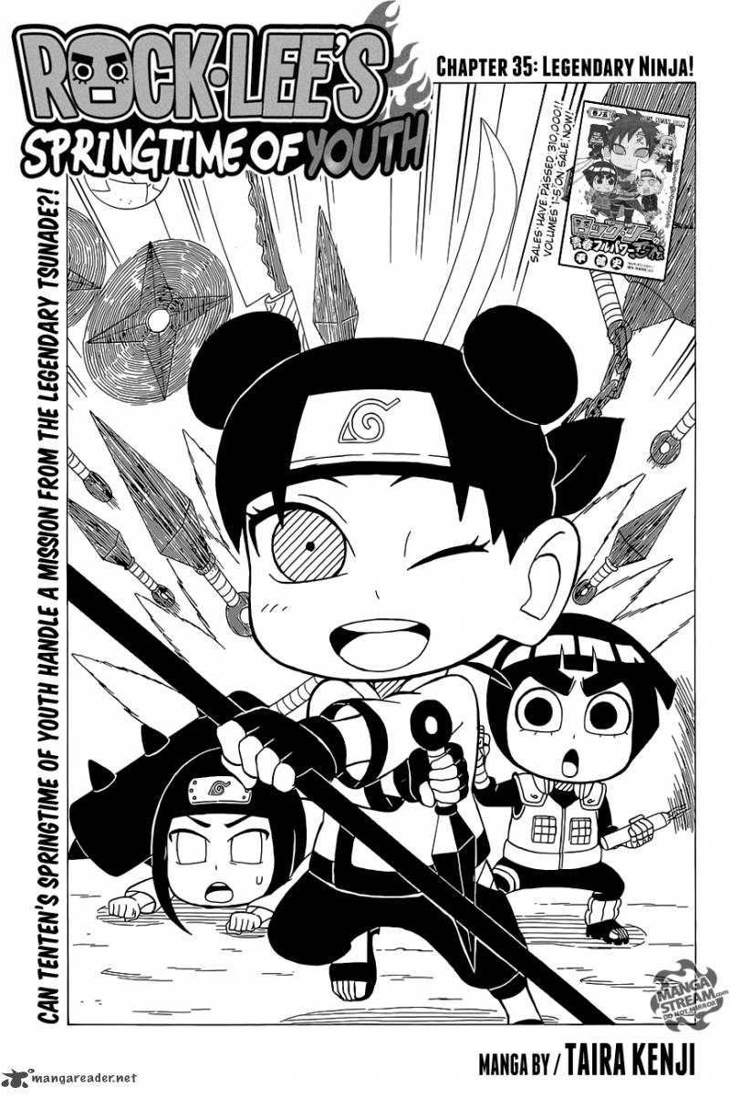 Rock Lees Springtime Of Youth 35 1