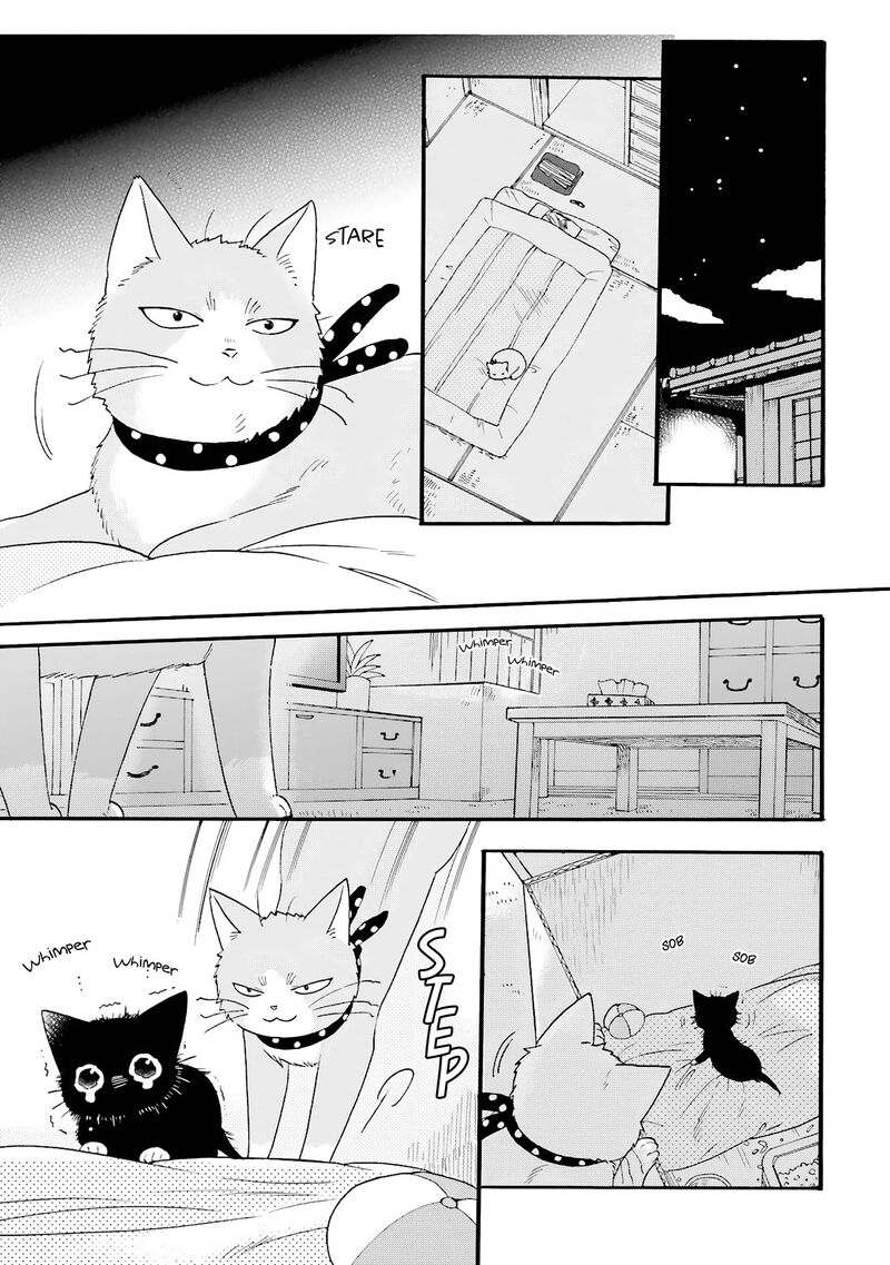 Rokuhoudou Yotsuiro Biyori 11 12