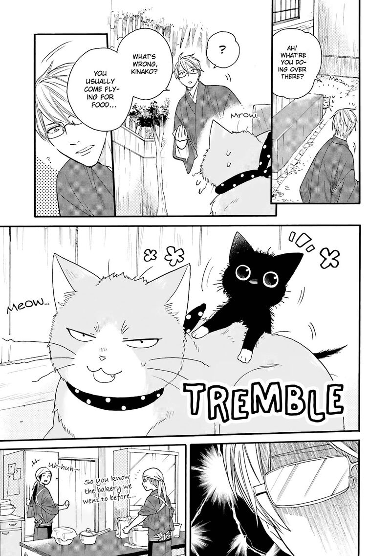 Rokuhoudou Yotsuiro Biyori 11 4