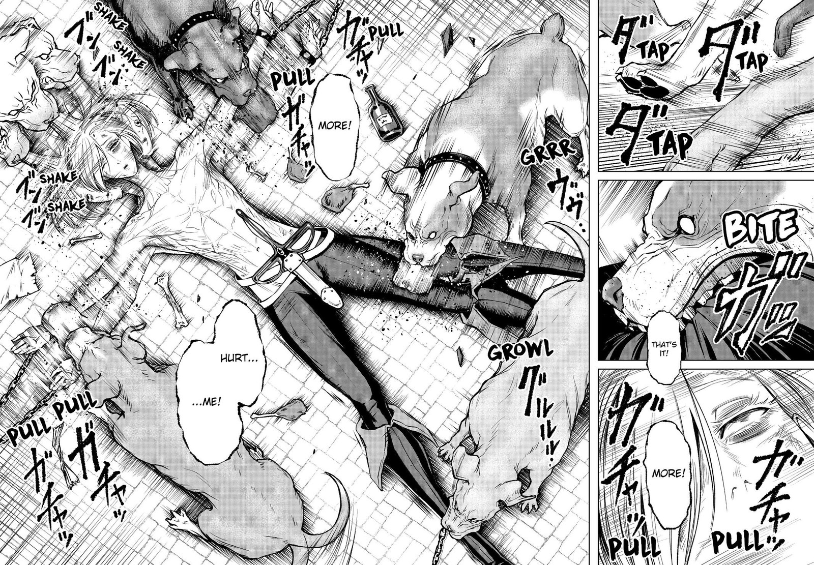 Rosen Garten Saga 10 12