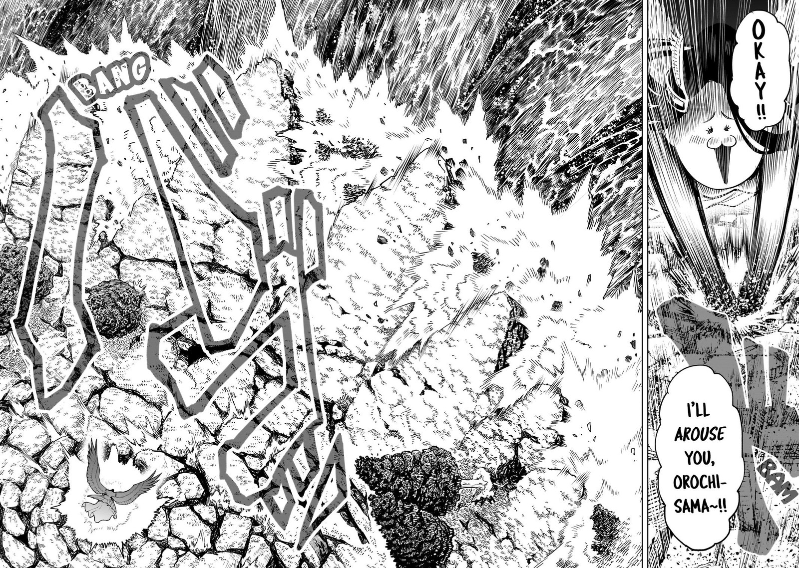 Rosen Garten Saga 56 9