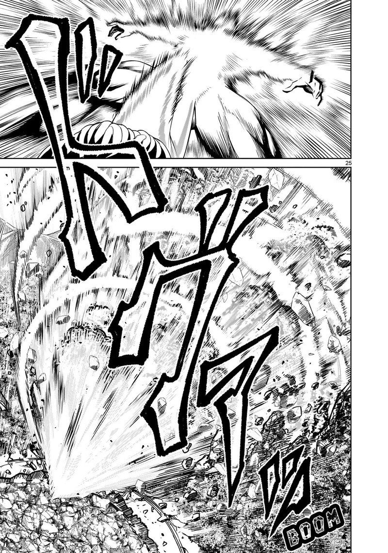 Rosen Garten Saga 78 24