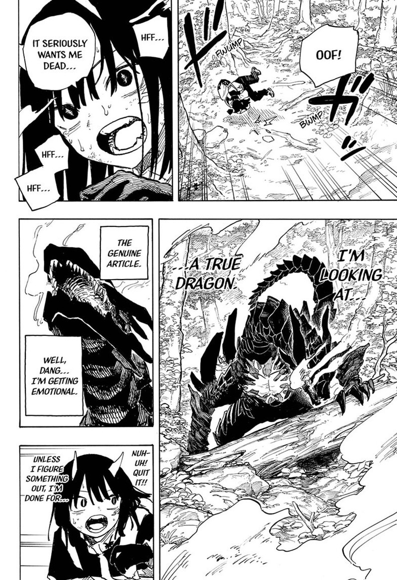 Ruridragon 47 10