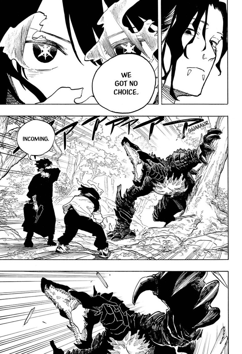 Ruridragon 48 17