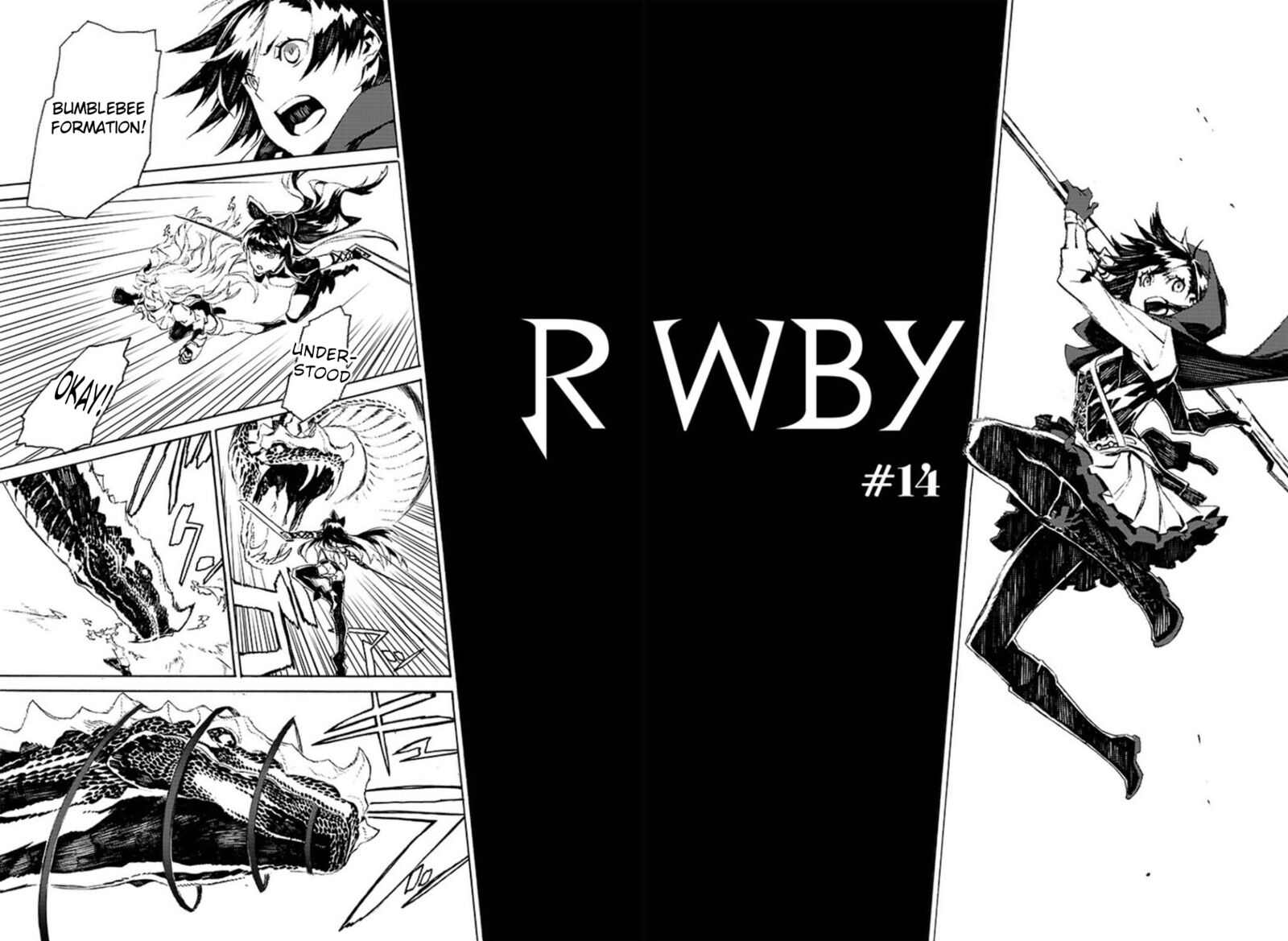 Rwby 14 4