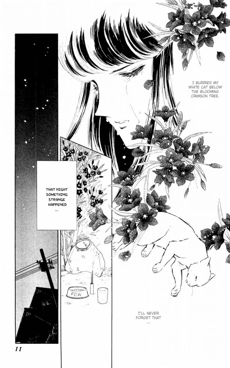 Ryoukos Case Book Of Spirits 1 9