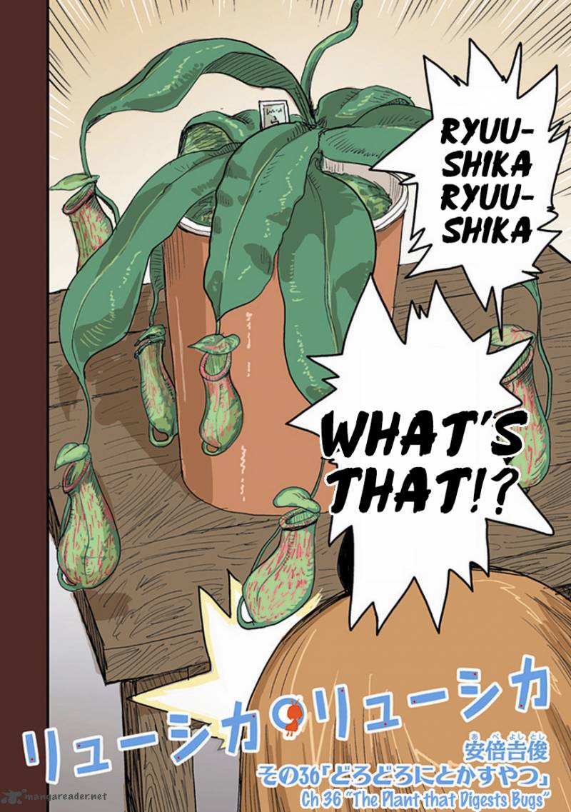 Ryushika Ryushika 36 2