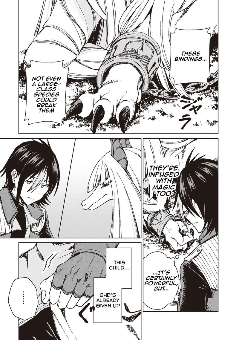 S Kyuu Guild Wo Tsuihousareta Kedo Jitsu Wa Ore Dake Dragon No Kotoba Ga Wakaru No De Kidzuita Toki Ni Wa Ryuu Kishi No Chouten Wo Kiwametemashita 25 12