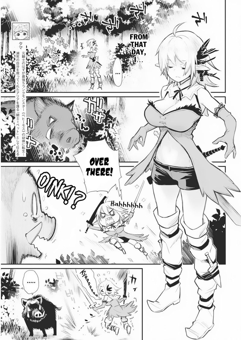 S Rank Monster No Behemoth Dakedo Neko To Machigawarete Erufu Musume No Kishi Pet Toshite Kurashitemasu 17 4