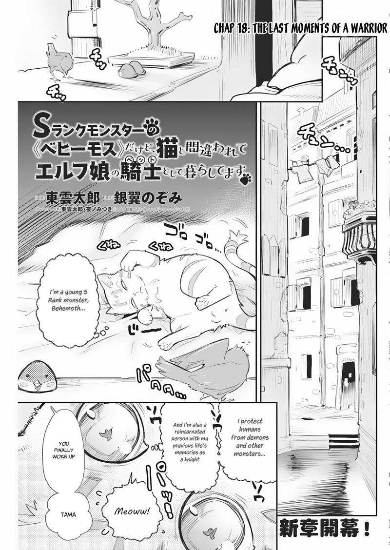 S Rank Monster No Behemoth Dakedo Neko To Machigawarete Erufu Musume No Kishi Pet Toshite Kurashitemasu 18 1