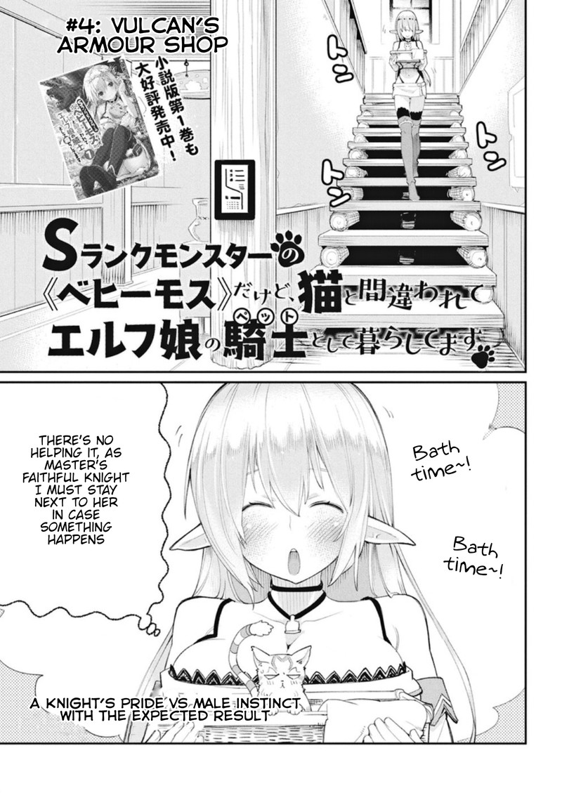S Rank Monster No Behemoth Dakedo Neko To Machigawarete Erufu Musume No Kishi Pet Toshite Kurashitemasu 4 1