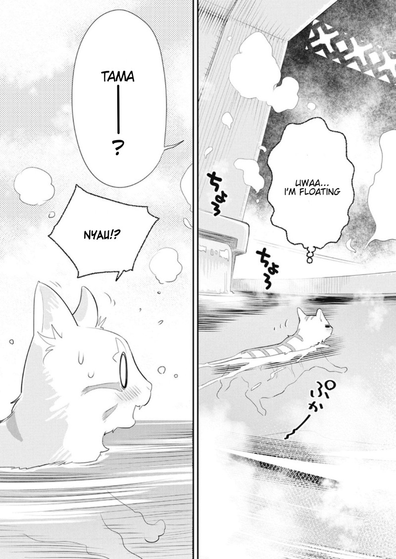 S Rank Monster No Behemoth Dakedo Neko To Machigawarete Erufu Musume No Kishi Pet Toshite Kurashitemasu 4 5