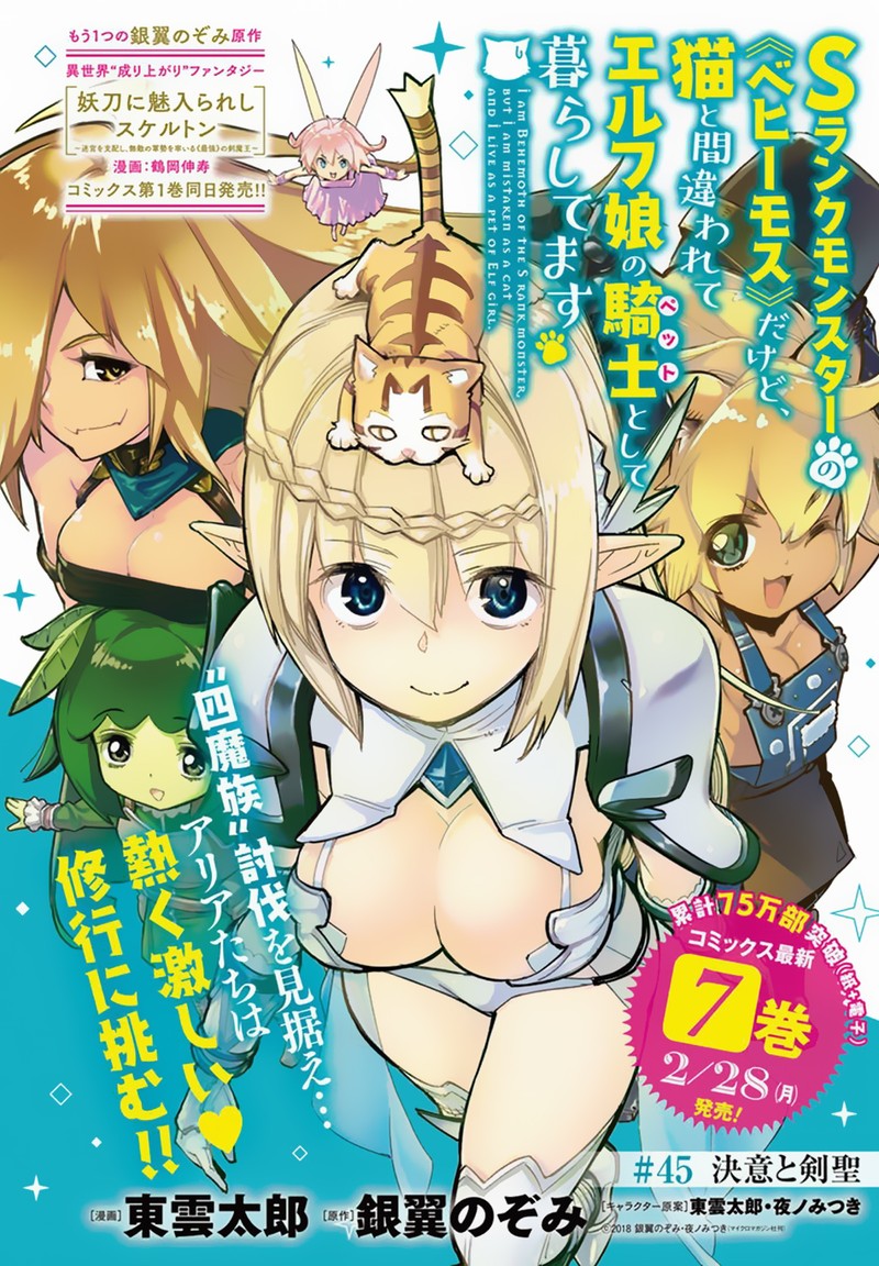 S Rank Monster No Behemoth Dakedo Neko To Machigawarete Erufu Musume No Kishi Pet Toshite Kurashitemasu 45 1